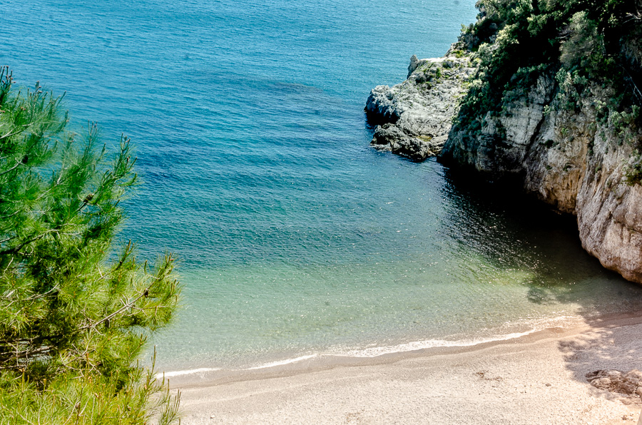Hidden Paradise Revealed: Crystal Clear Waters, Rocky Cliff, and Majestic Pine Tree at Erchie's Secret Beach