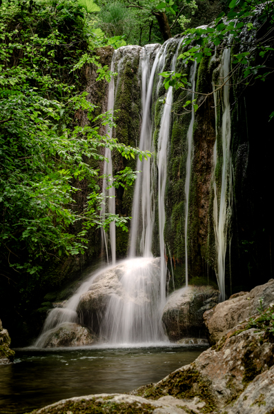 Waterfall on mossy rock, and lush vegetation around it.