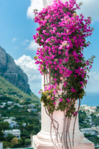 How to Visit Capri's Blue Grotto With or Without a Boat Tour - AmalFeet ...