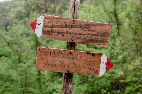 Wooden trail signs in the forest. 
The upper one indiccates the trail to Sambuco and San Nicola. The lower one indicates the Auriola Pic-Nic Area. 