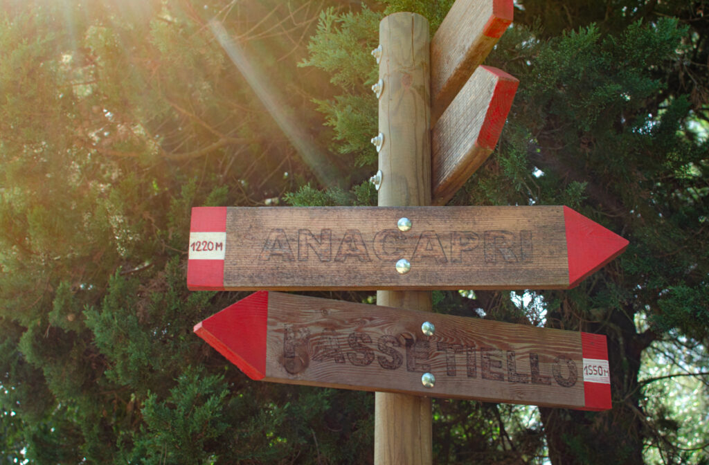 Sign posts along the paths on Mont Solaro. Indicates direction to hikers, like the Passatiello Trail, or direction of Anacapri. Wooden signs.