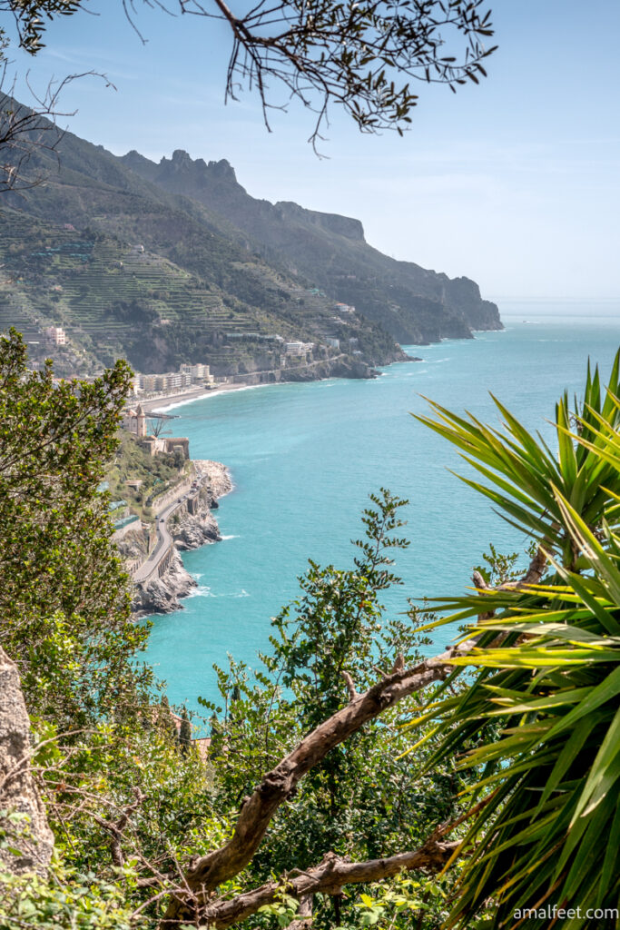 The view of the Amalfi Coast, from the steps heading up to Ravello.
Mountains and coastline, with turquoise coloured see. Palm tree on the foreground.