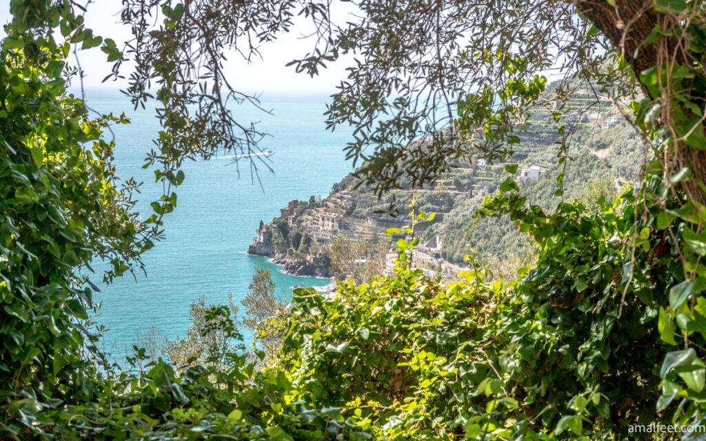 The view of the Marmorata area. Coastline with promontory and houses far away. The image is naturally framed by lush, green foliage.