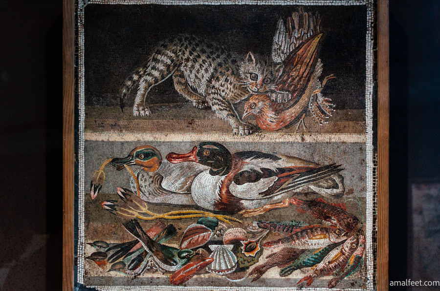 Mosaic from Pompeii kept in the National Archeological Museum